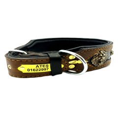 Personalized Dog Collar With Name & Number