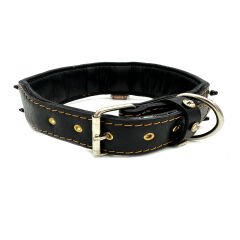 Luxury Crystal Stone Silvery Bitcoin Dog Collar