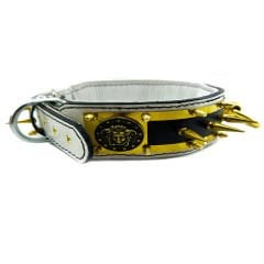 Special Design Spiked Medusa Dog Collar