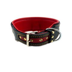 American Bully Handmade Leather Dog Collar