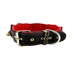 Luxury American Bully Dog Collar