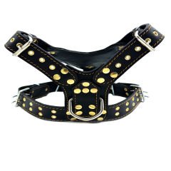 Lion Figured Special Design Dog Harness