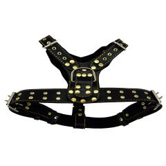 Luxury Personalized Dog Harness With Name