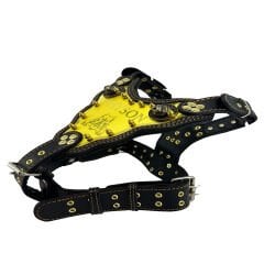 Luxury Personalized Dog Harness With Name