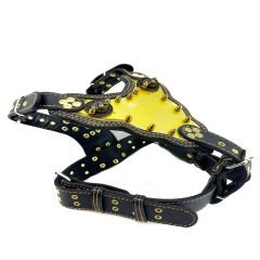 Luxury Personalized Dog Harness With Name
