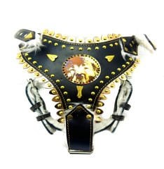 Personalized Dog Harness With Picture