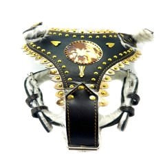 Personalized Dog Harness With Picture