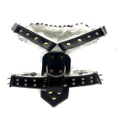 Personalized Dog Harness With Picture