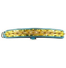 Gold Tones Spiked Dog Collar