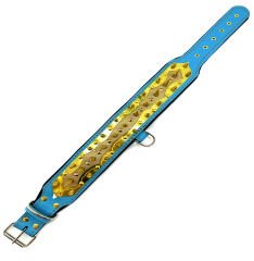 Gold Tones Spiked Dog Collar