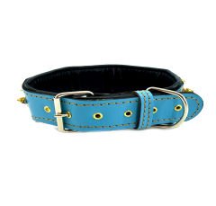 Gold Tones Spiked Dog Collar