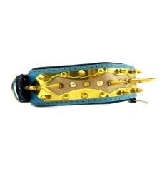 Gold Tones Spiked Dog Collar