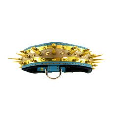 Gold Tones Spiked Dog Collar