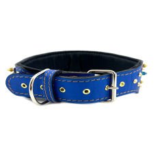 Special Design Chicago Bulls Spiked Dog Collar