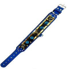 Special Design Chicago Bulls Spiked Dog Collar