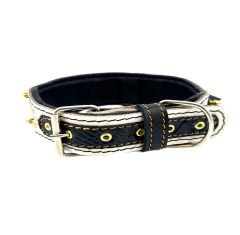 Big Spiked Ancient Rome Dog Collar