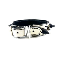American Bully Spiked Dog Collar