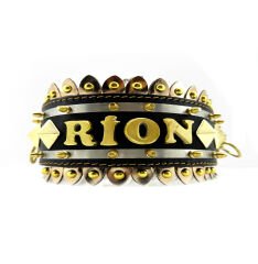 Special Design Personalized Dog Collar With Name