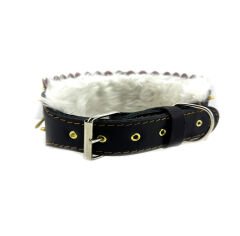 Special Design Personalized Dog Collar With Name