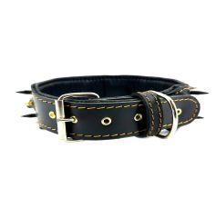 Luxury Personalized Dog Collar With Name