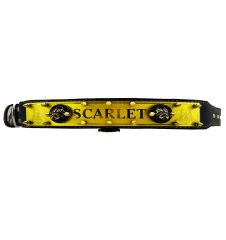 Black-Gold Tones Personalized Handmade Leather Dog Collar With Name