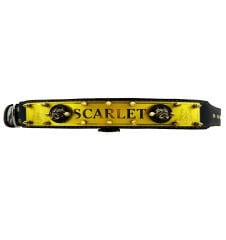 Luxury Personalized Dog Collar With Name