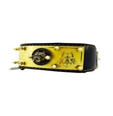 Luxury Personalized Dog Collar With Name