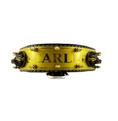 Luxury Personalized Dog Collar With Name