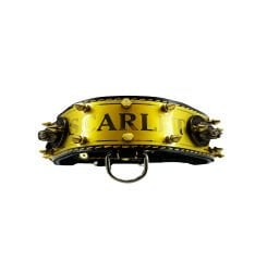 Luxury Personalized Dog Collar With Name