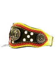 Medusa Special Design Luxury Dog Collar