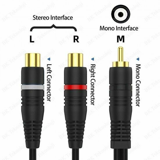 1 RCA Erkek 2 RCA Dişi 25 Cm Anfi Y Kablo
