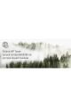 HP W1103A Neverstop Toner Reload Kit (103A)