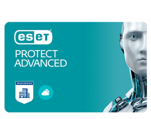 ESET PROTECT Advanced 1 YIL 11 KULLANICI