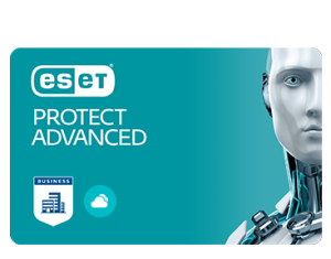 ESET PROTECT Advanced 3 YIL 11 KULLANICI