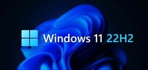 Microsoft Windows 11 Pro 22h2 64 Bit OEM DVD Kutu FQC-10556