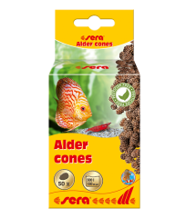 SERA ALDER CONES (50 ADET) KIZILAĞAÇ KOZALAĞI