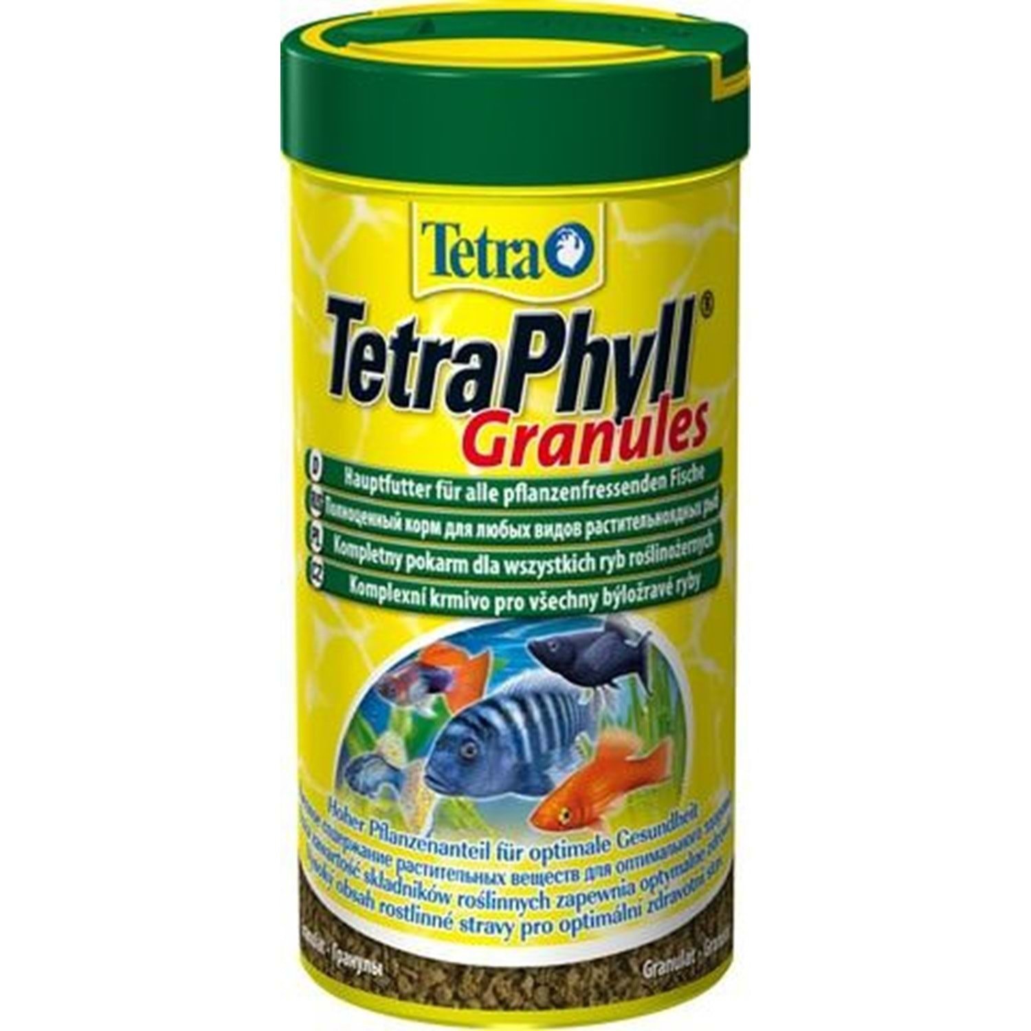 Tetra Phyll Granules 250 Ml Kutu Balık Yemi