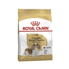 ROYAL CANIN CAVALIER 3 KG YETİŞKİN KÖPEK MAMASI