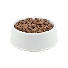 Pro Plan Kitten Yavru Kedi Maması 1Kg (Açık)