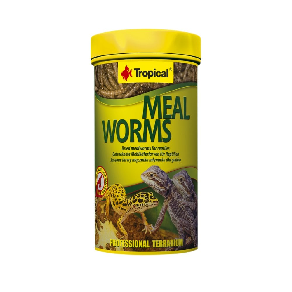 TROPİCAL MEAL WORMS 250ML./30 GR. (UN KURDU) KUTU SÜRÜNGEN YEMİ