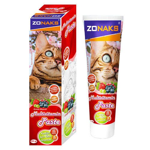 ZONAKS MULTİVİTAMİN PASTE ORMAN MEYVELİ