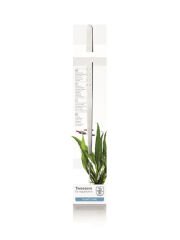 TROPICA TWEEZERS 25 CM BİTKİ MAŞASI