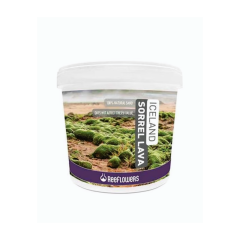 REEFLOWERS ICELAND SORREL LAV KIRIĞI 4-6 MM 4 KG KUM