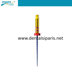 AF Blue Rotary File Kanal Egesi