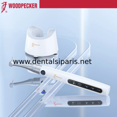 Endo Pace - Fırçasız Endo Motor
