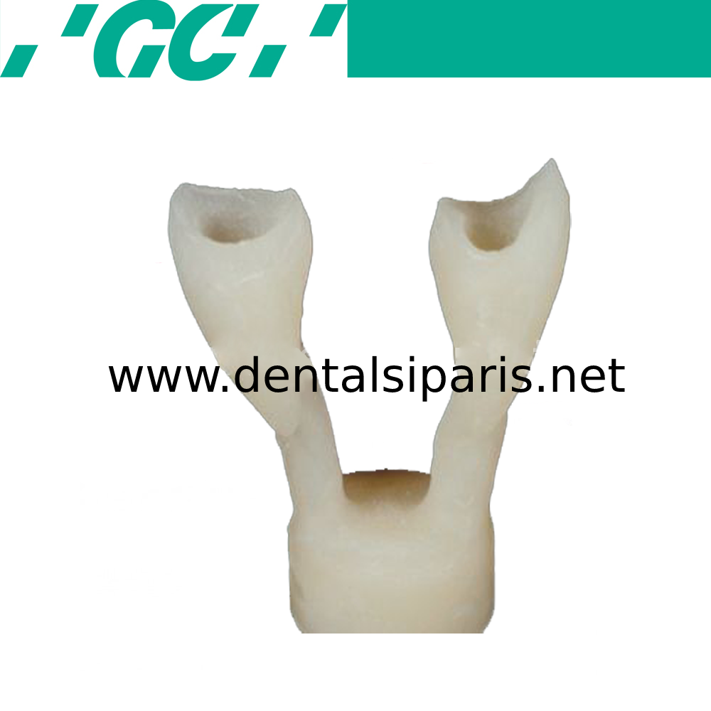 Initial Ceramics Pressable System