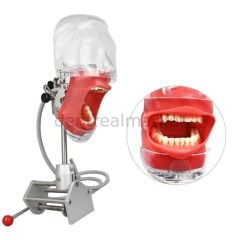 Masaya Monte Ekonomik Model Fantom Kafa
