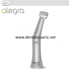 Alegra Mavi Kuşak Anguldurva - WE-56T