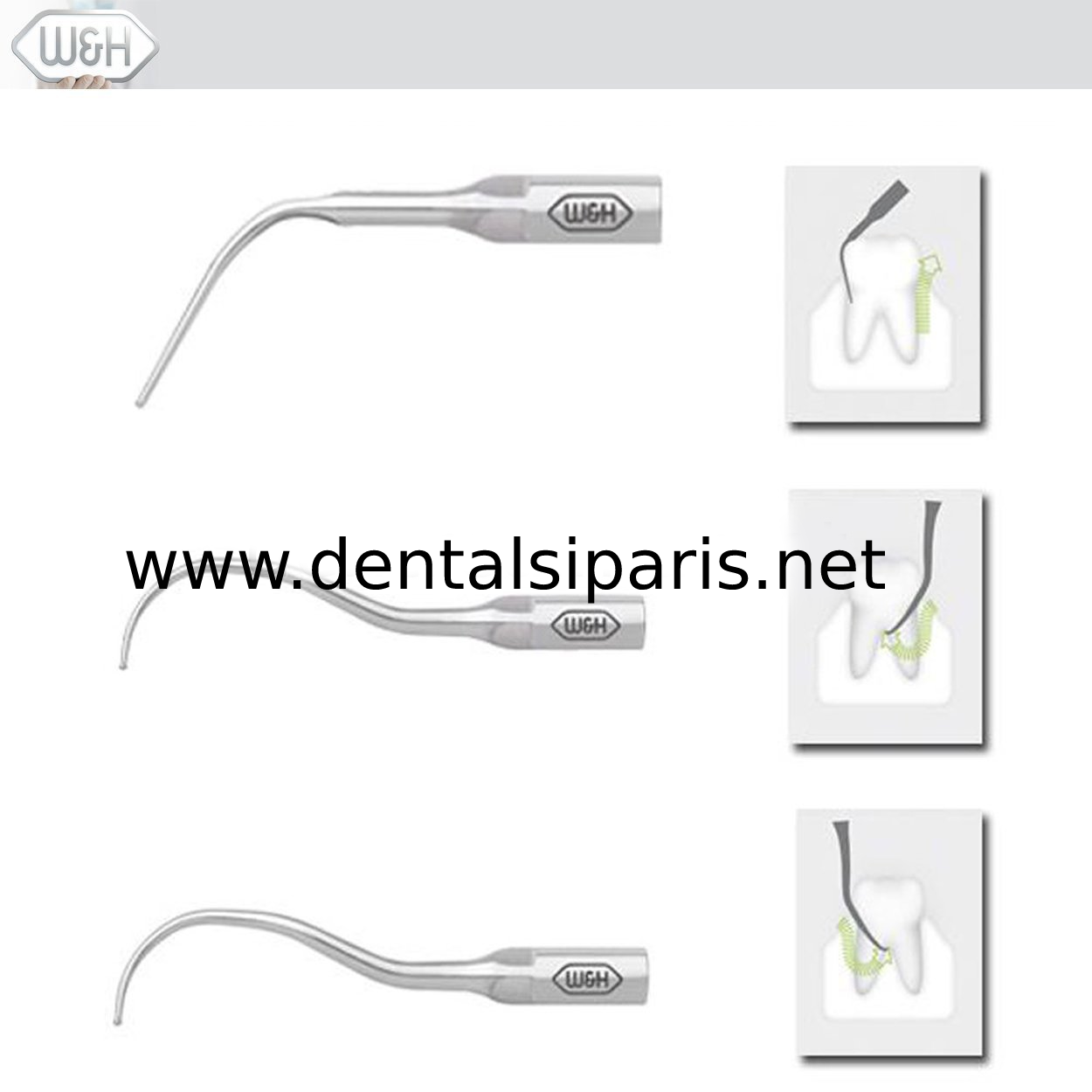 Kavitron-Scaler  Uçları- Perio Set