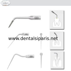 Kavitron-Scaler  Uçları- Endo Uç Set